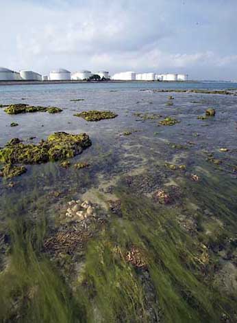 view towards pulau busing