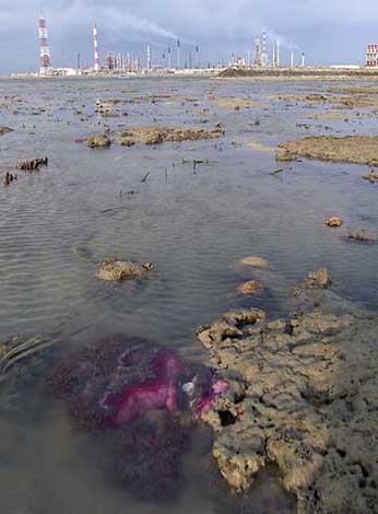 view towards pulau ular