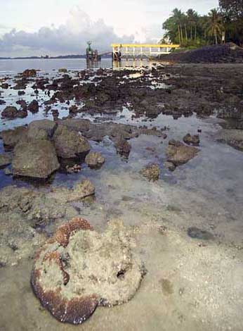 view towards pulau busing