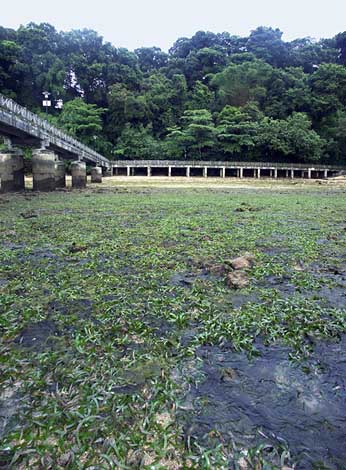 view under jetty facing the shore